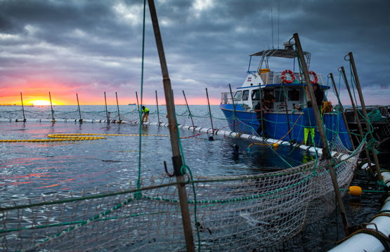 Fishing Practices